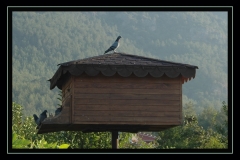 gunu-karsilayis